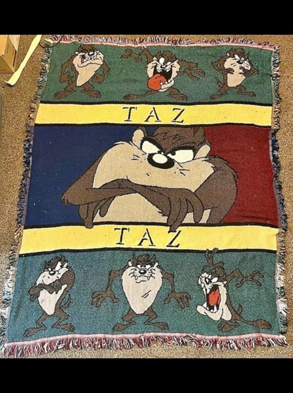 Warner Bros. Vintage Taz Tasmanian Devil Woven Tapestry Throw Blanket